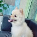 구미현대병원 이미지