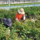 고인돌 조형물 이미지