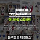 팀;블랙벨트태권도장