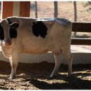 승수목장 이미지