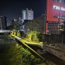 2금남교