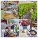 여주 가볼만한곳 팜스퀘어, 피크니코, 해봄 아이랑 농촌체험 50% 할인