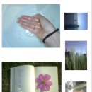 삐까삐까