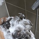 (주)아이즈온 | [아이즈코 슈퍼디톡 샴푸,트리트먼트] 두피부터 모발까지 한 번에 케어하는 프리미엄 루틴