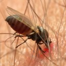 한동물병원(출장진료동물병원) 이미지