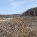 SH토지보상행정사사무소 이미지