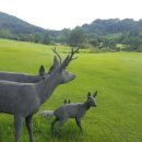 레이나 호텔 이미지