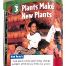2-5 Plants make new plants 이미지