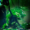 물속풍경 이미지