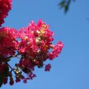 여성의집 이미지