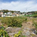 일반성면사무소 이미지