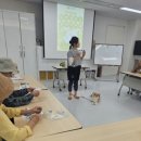 강아지정원 이미지