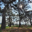 곰솔 경로당 이미지