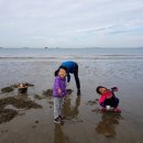 해변연가 이미지