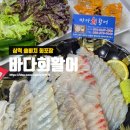 노브랜드 삼척중앙시장점 | 삼척 쏠비치 회포장 '바다회활어' 삼척중앙시장 회포장 후기