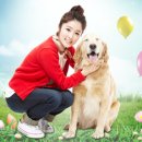 애견이야기 이미지