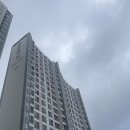 포항방충망 교체의 모든 것! 오천 웰메이드홈 방충망 시공 후기입니다~