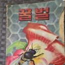 1953년 "Honey.Bee Keeping" 한국판 "꿀벌" 이미지