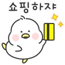 남정안경