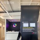 스타일러 H