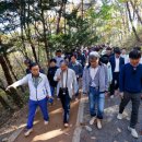 대강생활체육공원 이미지