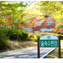 금원산자연휴양림 이미지