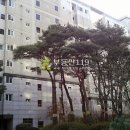 사임당로17길 80 Daum카페