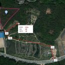 정지운선생묘 이미지