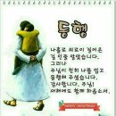 해솔 이미지