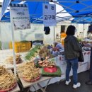 서경원농장 이미지