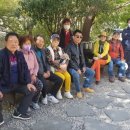 성지골산장