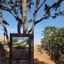 연산동고분군 이미지