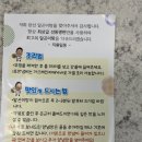 호동로1L | 광주 알탕 포장으로 캠핑까지 해결! 북구청 전대맛집 ‘만선’ 알탕 솔직 후기