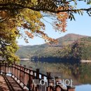 장성호수변길 이미지