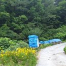 대강면사무소 이미지