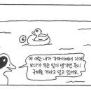 앨리스영어학원 - 58133 | 앨리스영어학원