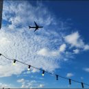 한우&흑돼지 이미지