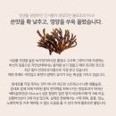 더바른팜