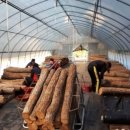 천공농장 이미지