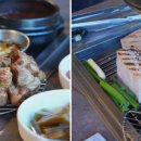 두텁돼지 이미지