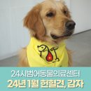 감자동물병원 네이버블로그