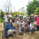 두마초등학교 이미지