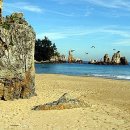 아름다운세상 이미지