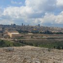 이스라엘 성지순례㉓(2023.02.12)예루살렘(올리브산-예루살렘 전경-오물 성문) 이미지