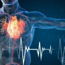 로얄피트니스 이미지