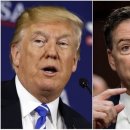 코미코미 이미지