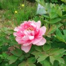 월포바닷가 이미지