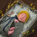 507-1 신진전자앞 | 원주연세순풍조리원 13박14일 후기, 가슴마사지, 전신마사지, 조리원준비물, 퇴소선물