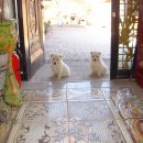 의령민박 이미지