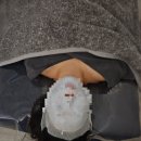 자웅에스떼 마곡점